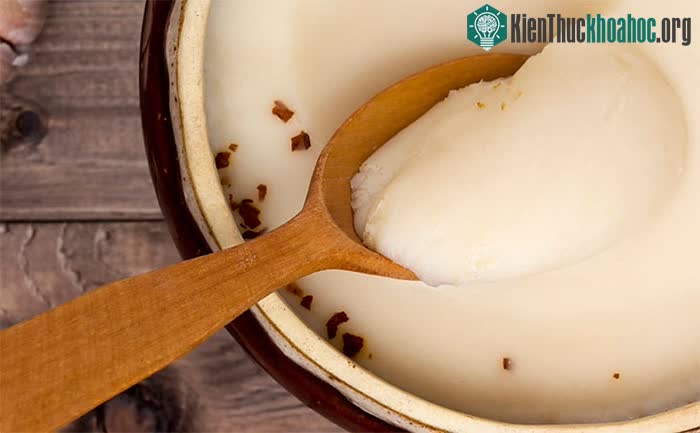 Mỡ động vật