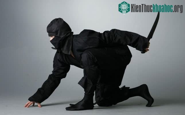 Ninjutsu là một môn học riêng trong một số trường học truyền thống của Nhật Bản