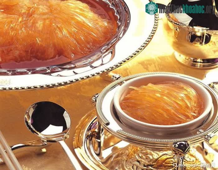 Vây cá mập được xem là một món ngon quý hiếm.
