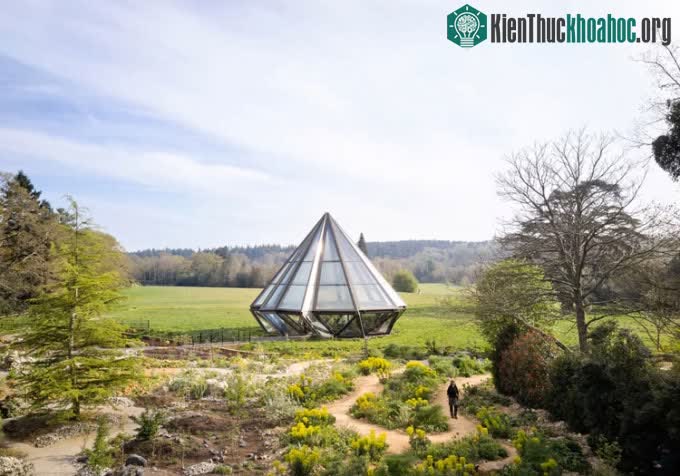 Glasshouse đóng lại khi thời tiết lạnh để bảo vệ thực vật bên trong