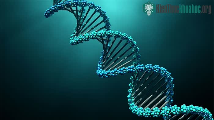 Công nghệ DNA mới đã làm lung lay cây họ nhiều loài động thực vật.