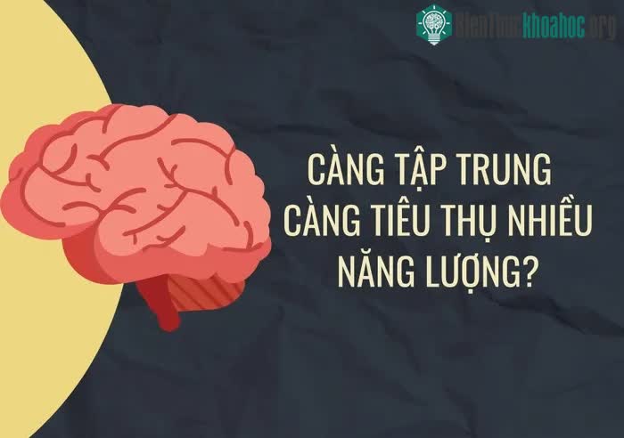 Những thắc mắc thường gặp về não bộ ảnh 0