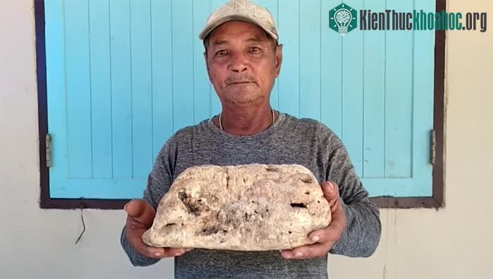 Khối long diên hương trị giá 130.000 USD được tìm thấy trên bãi biển Thái Lan.&nbsp;