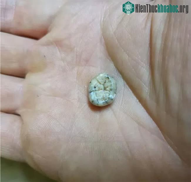 Phát hiện dấu vết "loài người ma" tuyệt chủng ở dãy Trường Sơn? ảnh 1