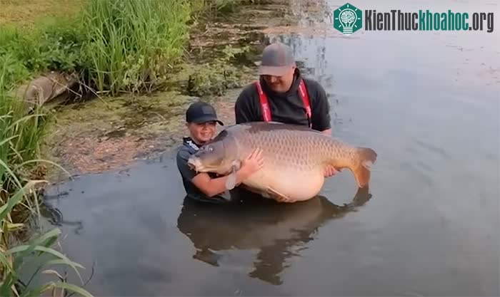 Cậu bé Callum Pettit và bố Stuart bên con cá chép nặng tới 43,5kg.