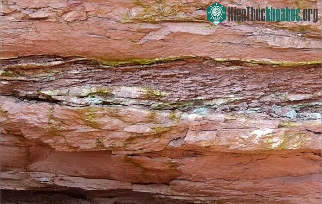 Từ lớp trầm tích tìm thấy, các nhà pháp y địa chất đã phát hiện ra sự kiện Carnian Plugvial