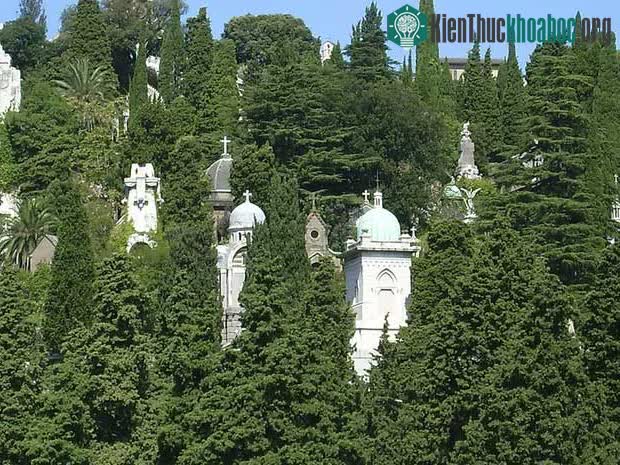 Nghĩa trang tại Ý với lối kiến trúc nghệ thuật ma mị tới ám ảnh, thu hút khách du lịch khắp thế giới vì quá ấn tượng ảnh 1