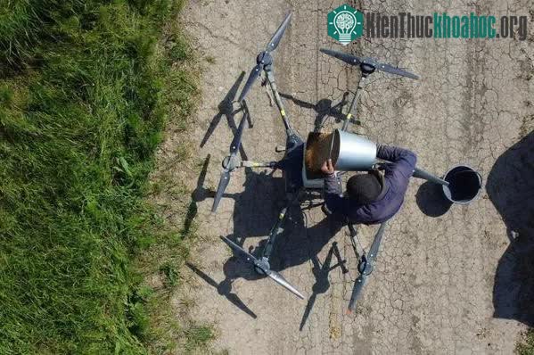 Máy bay không người lái có thể được sử dụng cho việc gieo trồng các loại cây trồng có hạt