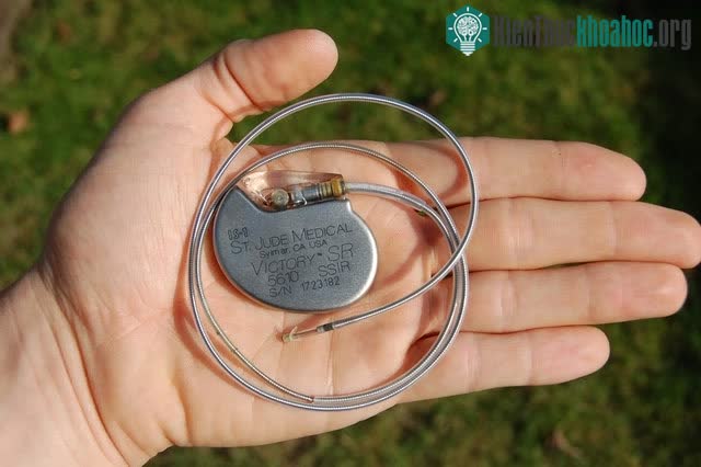 Kích cỡ một thiết bị điều hòa nhịp tim thông dụng.
