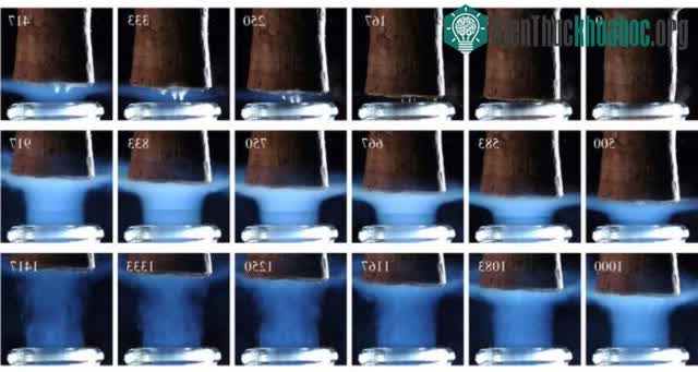 Chuỗi thời gian hiển thị chi tiết việc một nút chai được trục xuất khỏi cổ chai rượu sâm banh