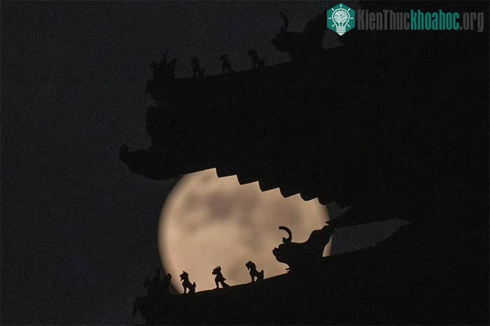 Hình ảnh ấn tượng về "siêu trăng dâu tây" trên khắp thế giới ảnh 1
