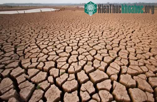 Thiệt hại kinh tế do biến đổi khí hậu tại châu Âu đã lên tới 12 tỷ euro mỗi năm