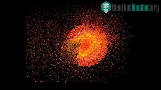 Nhóm nghiên cứu đã sử dụng công nghệ chỉnh sửa gene chống lại HIV