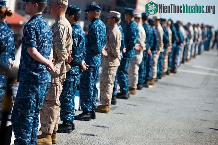 Họa tiết kỹ thuật số được một số sư đoàn quân đội Mỹ kết hợp nhiều kiểu dáng và màu sắc