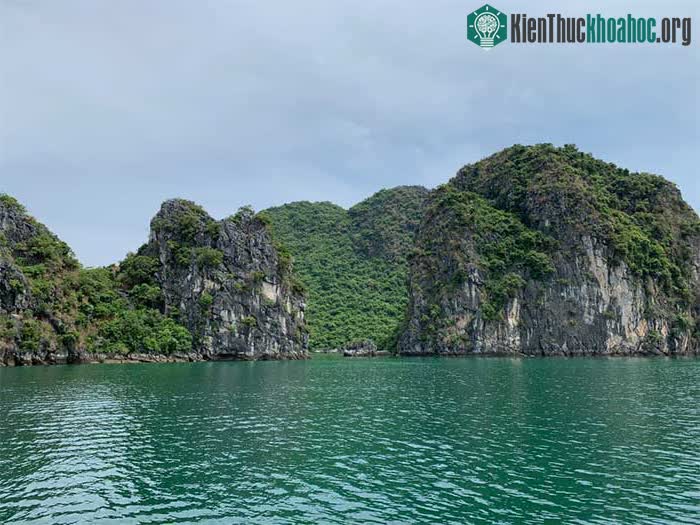 Vịnh Hạ Long (Quảng Ninh)