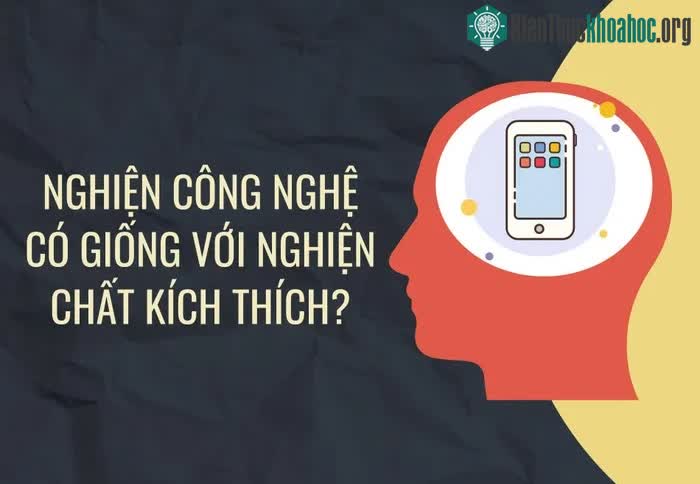 Những thắc mắc thường gặp về não bộ ảnh 1