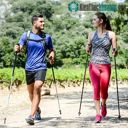 Đi bộ kiểu Bắc Âu đem lại nhiều lợi ích cho sức khoẻ tim mạch.