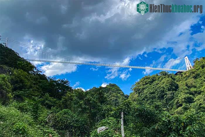 Cận cảnh cây cầu kính đi bộ dài nhất thế giới, du khách thử "cảm giác mạnh" khi thăm quan ảnh 11