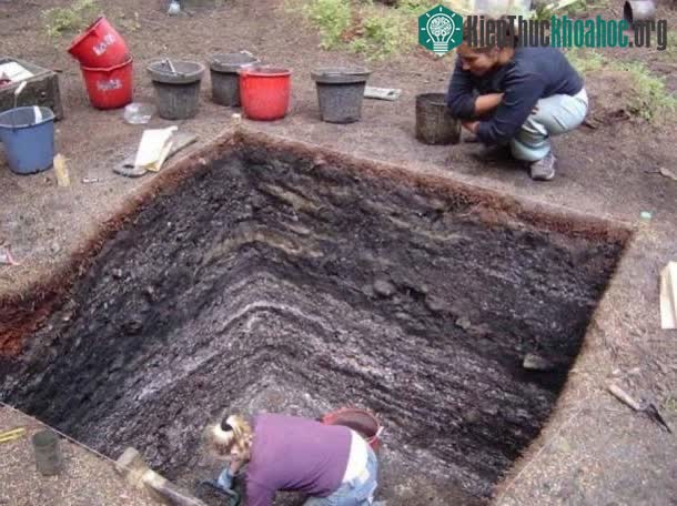 Một mỏ hàu&nbsp;dày đặc trong suốt 1.000 năm qua