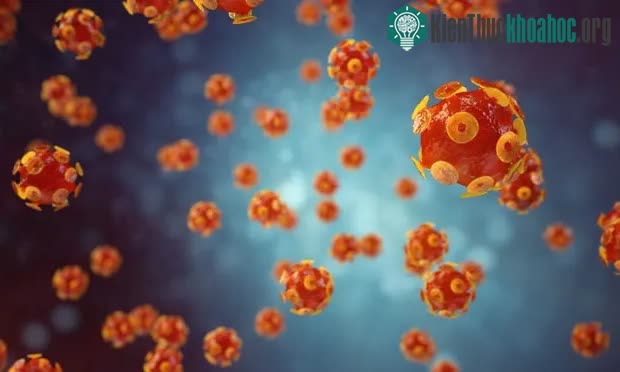 Hình ảnh mô phỏng virus gây bệnh viêm gan.&nbsp;