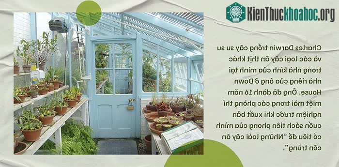 Phát hiện chấn động về chặng đường tiến hóa biến thực vật thành cây ăn thịt ảnh 2