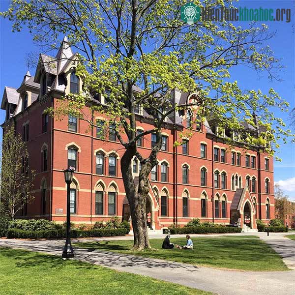 Trưởng Đại học Tufts ở Mỹ.