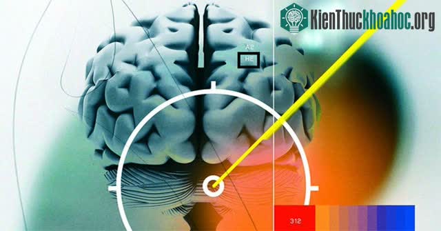 Làm thế nào để đo được nhiệt độ bên trong não?
