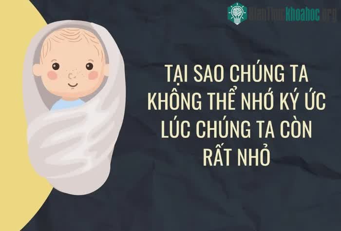 Những thắc mắc thường gặp về não bộ ảnh 2