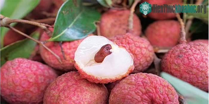 Uống một chút nước muối trước khi ăn giúp làm giảm tính nhiệt của vải.