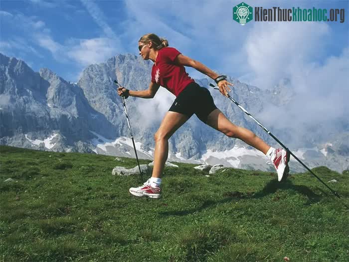 Đi bộ kiểu Bắc Âu có thể đốt cháy nhiều calo hơn 20% so với đi bộ truyền thống.