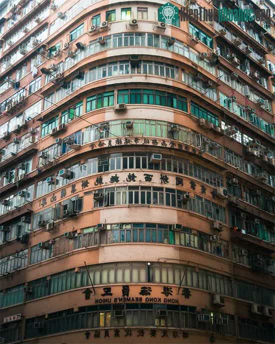 Bộ ảnh đô thị choáng ngợp này lý giải tại sao Hồng Kông được mệnh danh là "khu rừng bê tông"