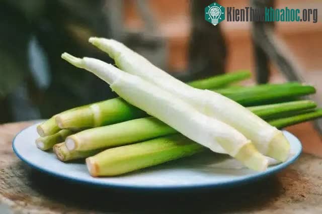 Những món ăn làm từ củ niễng có nhiều tác dụng tốt đối với sức khỏe.