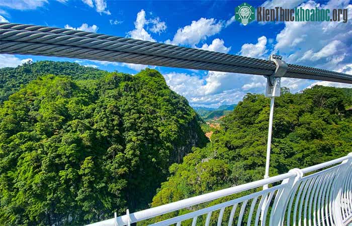 Toàn bộ hệ thống cáp treo cũng đều được nhập khẩu từ Hàn Quốc