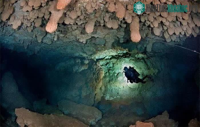 Một nhóm thám hiểm quyết định cử thợ lặn xuống để tìm hiểu.