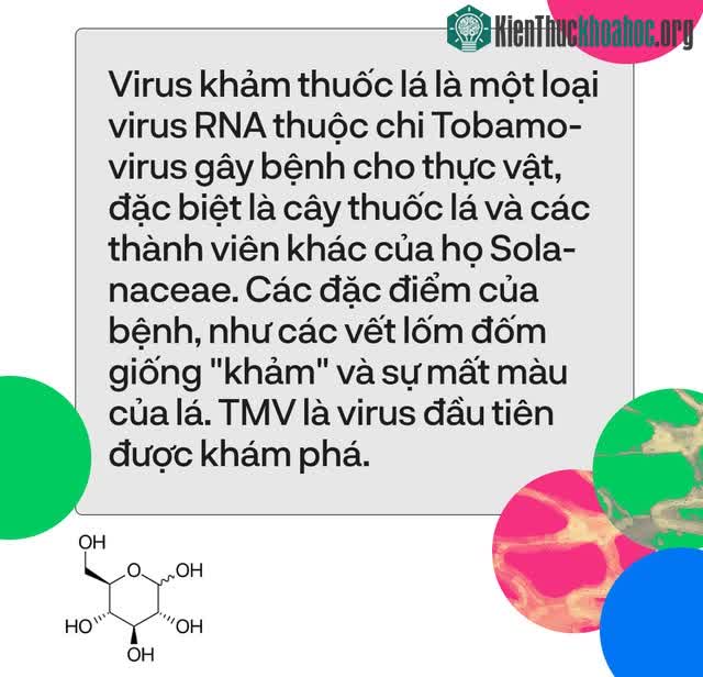 Top 8 nghiên cứu đã thay đổi thế giới mà bạn chưa từng nghe tới ảnh 4