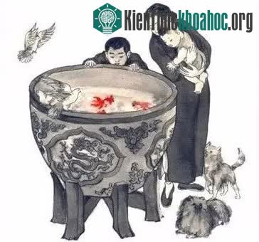 Hình dạng của con cá vàng đã trải qua những thay đổi vô cùng lớn kể từ thời điểm này.
