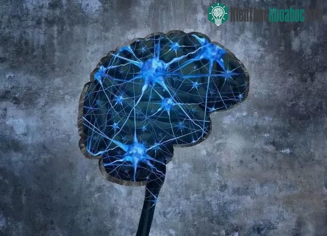 Ký ức được hình thành như thế nào? ảnh 4