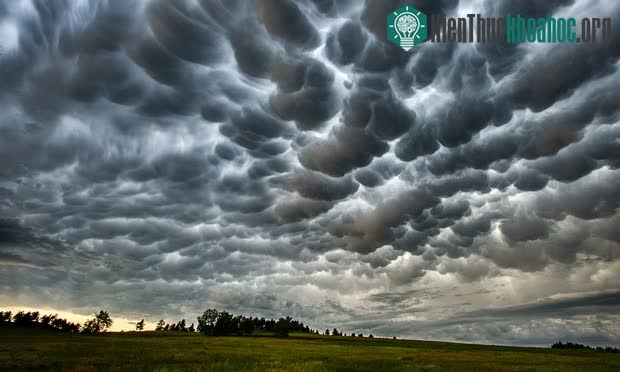 Mây Mammatus