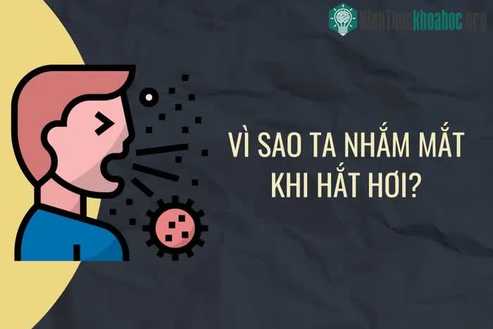 Những thắc mắc thường gặp về não bộ ảnh 4