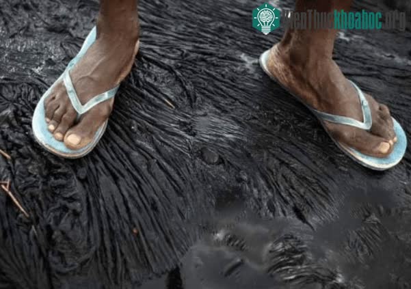 Lượng nhựa đường dưới hồ Pitch có thể khai thác trong mấy trăm năm nữa.