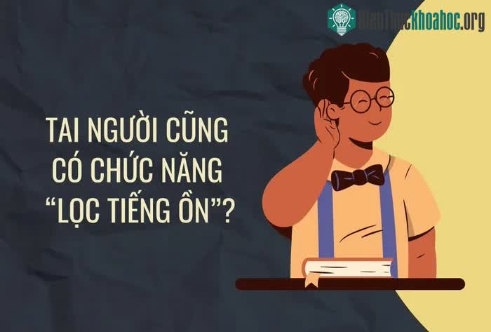Những thắc mắc thường gặp về não bộ ảnh 5