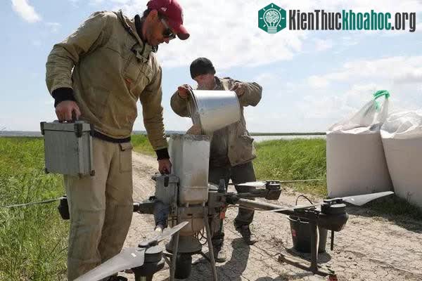 Nông dân Nga dùng máy bay không người lái để trồng lúa ảnh 6