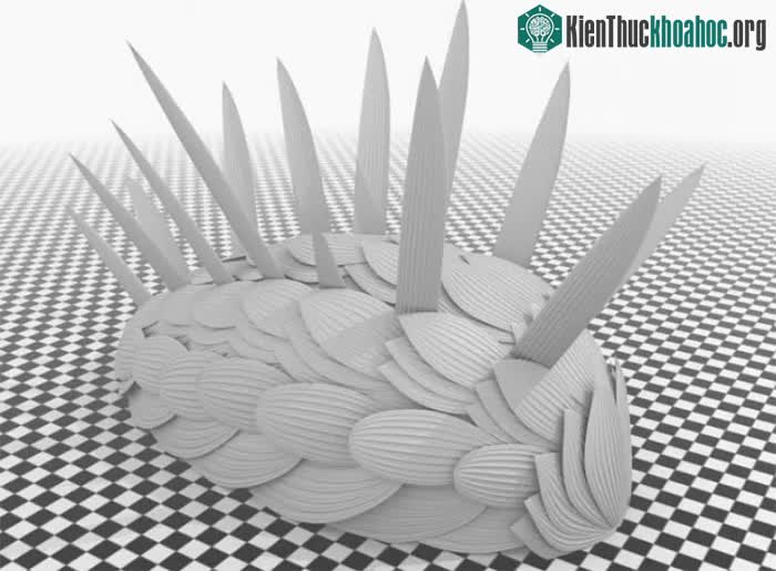 Wiwaxia