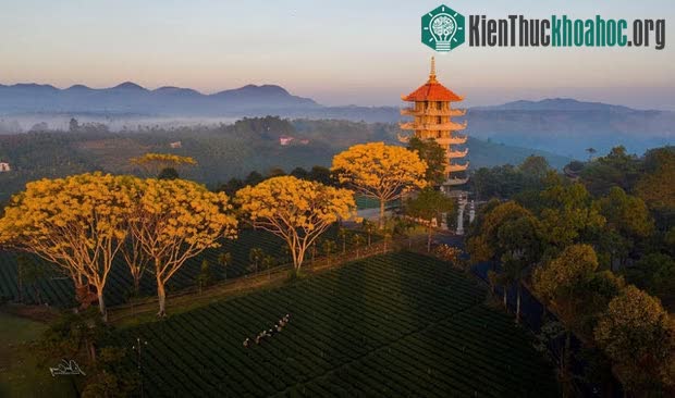 Tu viện Bát Nhã