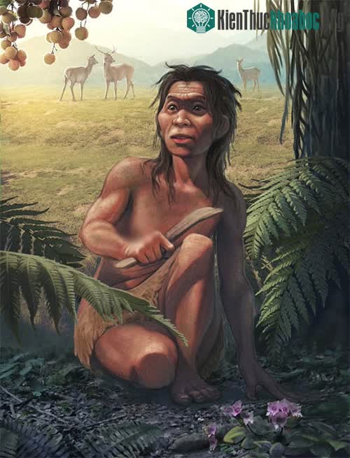 Con người bí ẩn trong hàng Đỏ