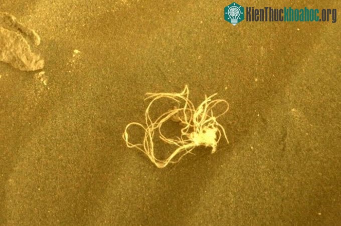 Vật thể kỳ lạ giống mớ dây chằng chịt trên sao Hỏa