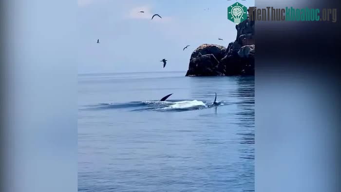 Hình ảnh chụp màn hình