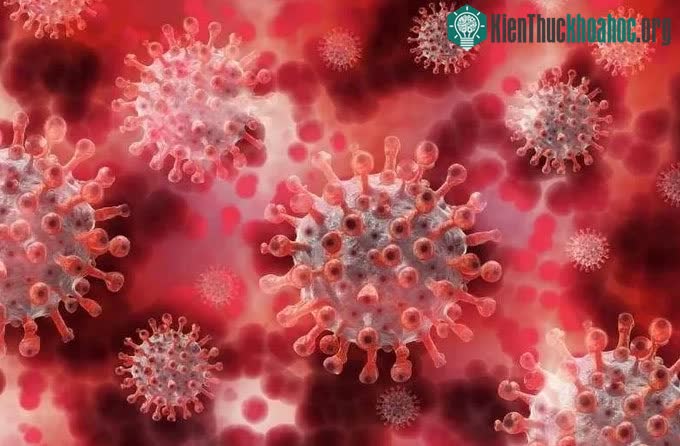 Interferon có thể là nguyên nhân gây bệnh nặng