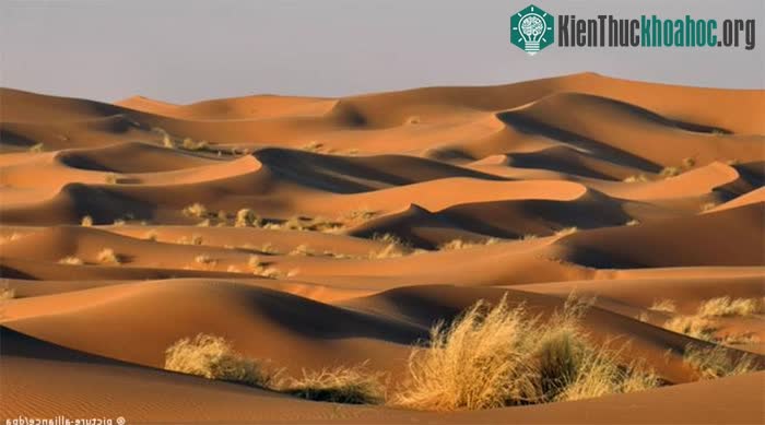 Sa mạc Sahara là một trong những sa mạc lớn nhất thế giới.