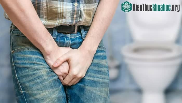 AI hiện nay thông minh tới mức nghe tiếng nước tiểu mà đoán ra cả bệnh tiết niệu ảnh 0